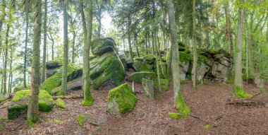 Fransa 'nın Eguisheim yakınlarındaki ormanda Merovingian ve ortaçağ dönemlerine ait kalıntılarla birlikte gizemli bir yürüyüş.
