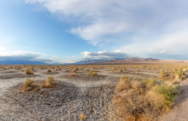 Mooie Mesquite Flats Dood Vallei Woestijn Bij Zonsondergang Licht Usa — Stockfoto