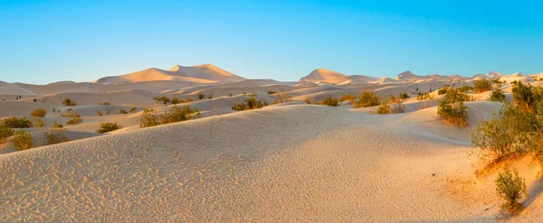 Bellissimi Appartamenti Mesquite Nel Deserto Della Valle Della Morte Alla — Foto Stock