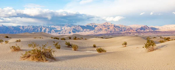 Schöne Mesquite Wohnungen Der Wüste Death Valley Sonnenuntergang Usa — Stockfoto