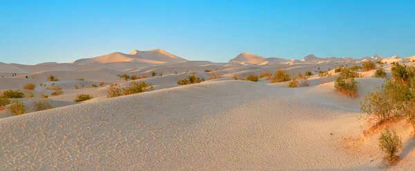 Piękne Mieszkania Mesquite Pustyni Doliny Śmierci Świetle Zachodu Słońca Usa — Zdjęcie stockowe