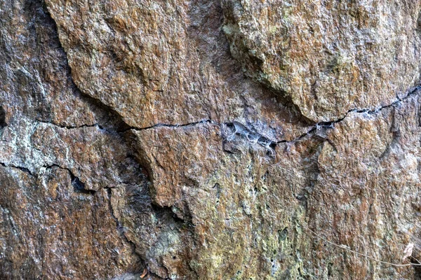 Detail Des Felsens Wald Verschiedenen Farben Und Rissig — Stockfoto