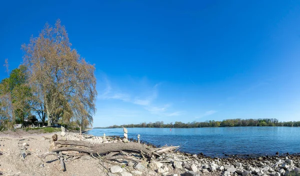 Spiaggia Del Fiume Reno Con Galleggianti Eltville Germania — Foto Stock