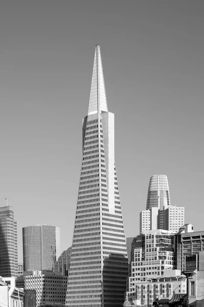 Edificio Transamerica San Francisco —  Fotos de Stock
