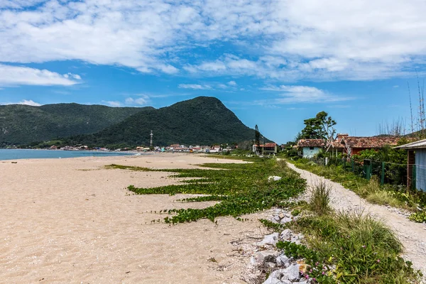 Пустой Пляж Флорианополисе Бразилия Пляжными Хижинами — стоковое фото
