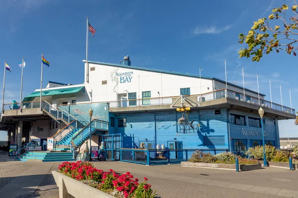 San Francisco Usa June 2022 Aquarium Bay Museum Placed Pier — Stock Photo, Image