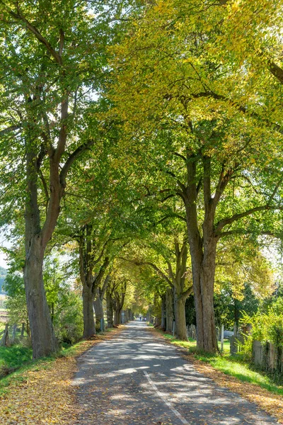 Ruelle Aux Couleurs Été Indiennes Herleshausen Allemagne — Photo