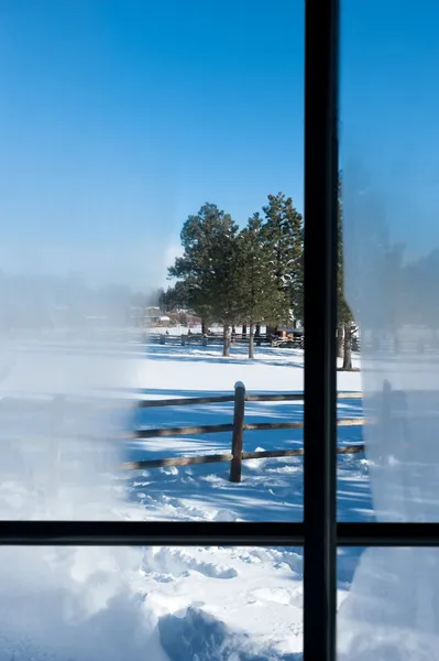 Зимнее окно — стоковое фото