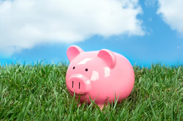 Piggybank in field — Stock Photo, Image