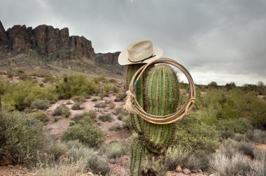 Lasso on cactus clipart