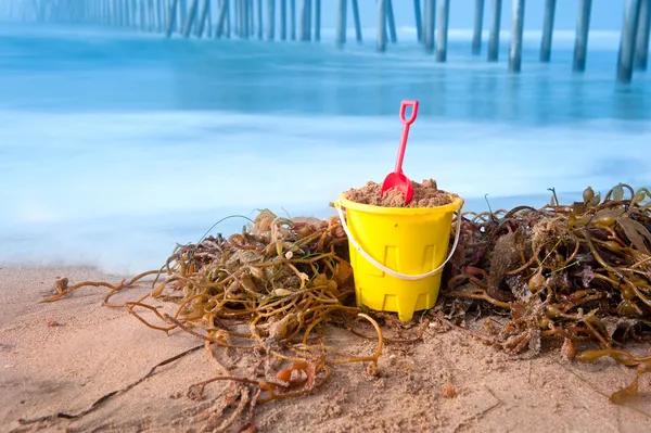 Cubo de playa y algas — Foto de Stock