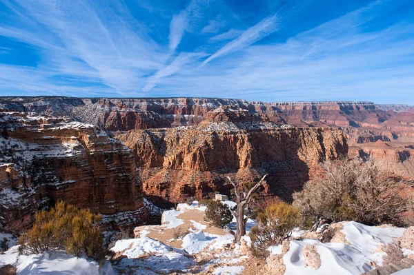 Liponowy punkt grand canyon — Zdjęcie stockowe