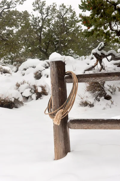 Lasso sulla recinzione — Foto Stock