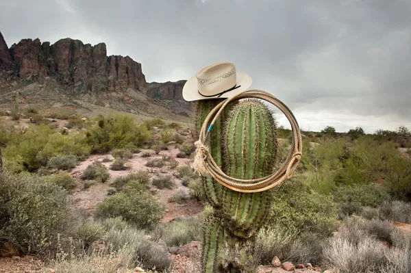 Lasso auf Kaktus — Stockfoto