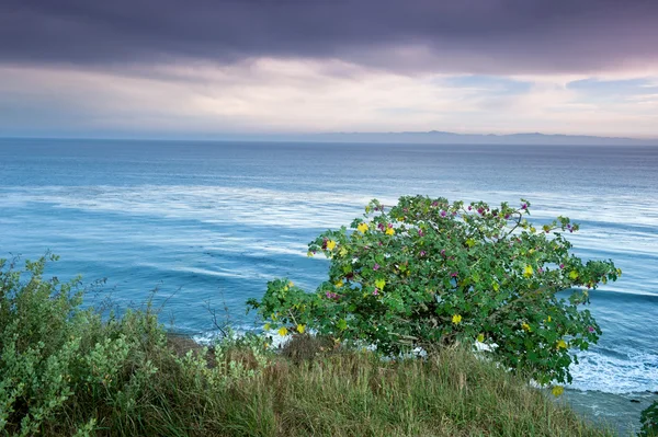 Havet har utsikt över — Stockfoto