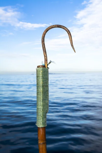 การตกปลา gaff — ภาพถ่ายสต็อก
