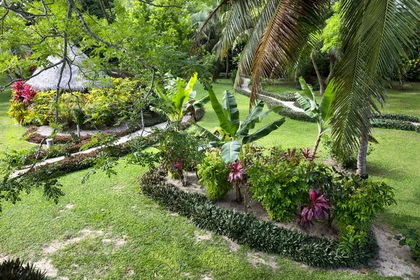 Tropical resort garden — Stock Photo, Image
