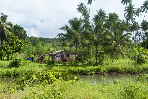 Rustic shack in jungle — Stock Photo, Image