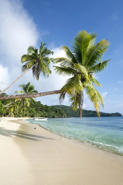 Classic exotic beach — Stock Photo, Image