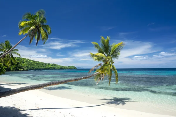 Tropical white sand beach — Stock Photo, Image