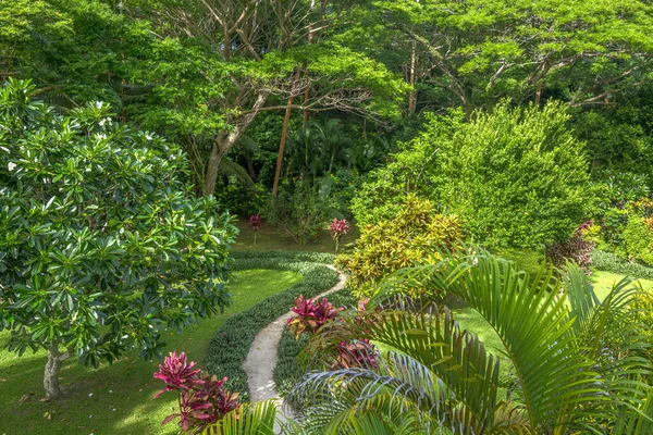 健全な活気に満ちた木 低木および他のエキゾチックな成長熱帯リゾート内の緑豊かな庭園の周り歩いてパスを示しています — ストック写真