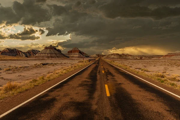 Den Avlägsna Vägbanan Djupt Hjärtat Petrified Forest National Park Visar — Stockfoto