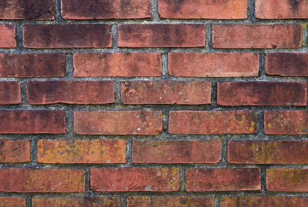 Muro di mattoni intemperie — Foto Stock