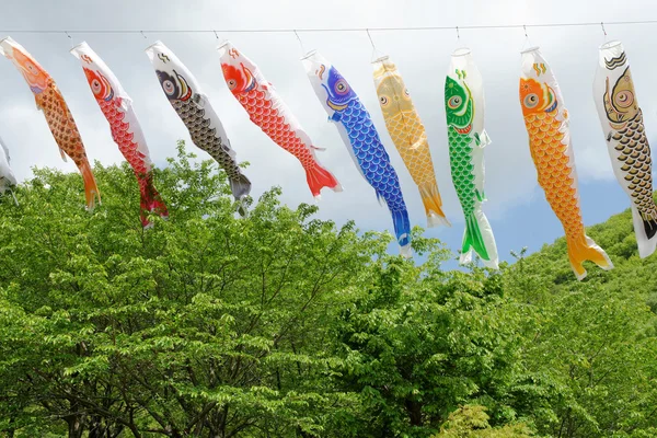 Japanska karp kite — Stockfoto