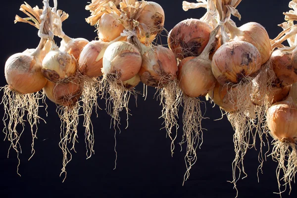 Bundle of onion — Stock Photo, Image