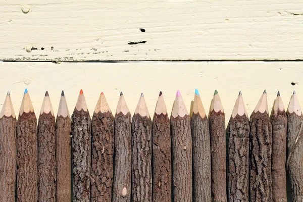 Crayons de tronc d'arbre — Photo