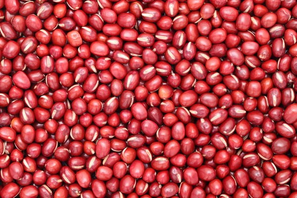 Red beans background — Stock Photo, Image