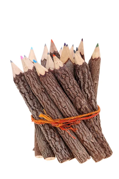 Bunt av träd bålen pennor — Stockfoto
