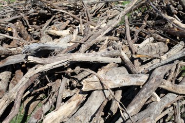 Birçok eski tahta atık