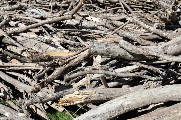 Multe deșeuri vechi de lemn — Fotografie, imagine de stoc