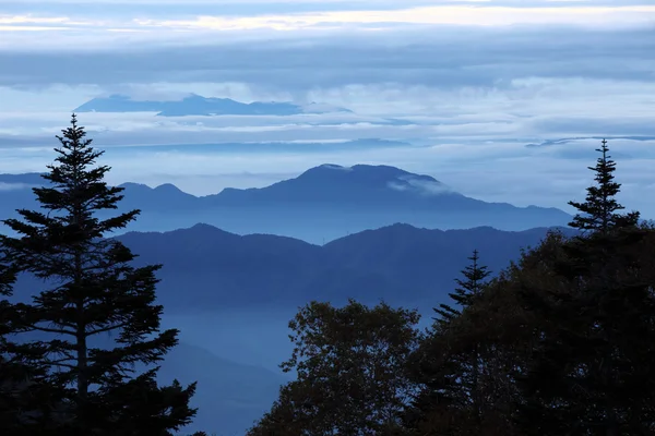 이른 아침에 블루 릿지 산맥 — 스톡 사진