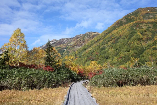 Autumn landscape in the mountain — Stock Photo, Image