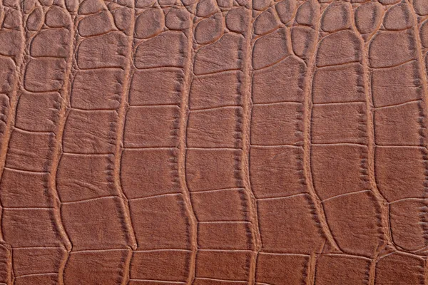 Pelle di coccodrillo marrone — Foto Stock