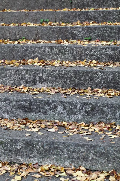 秋に古い石の階段 — ストック写真