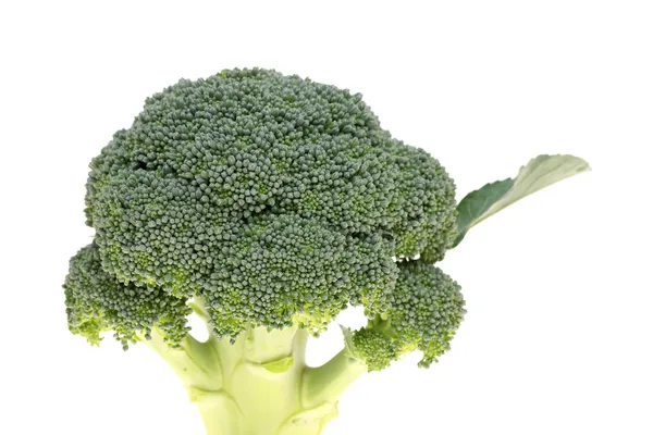 Broccoli freschi — Foto Stock