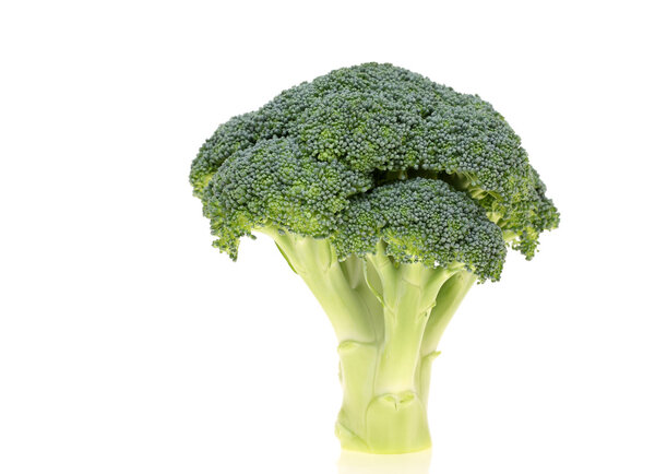 Fresh broccoli