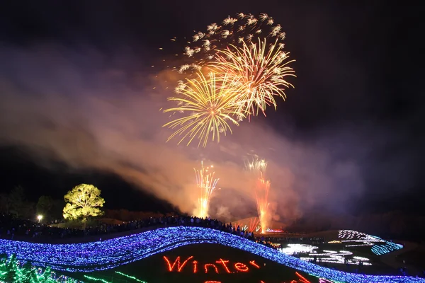 Fuochi d'artificio colorati — Foto Stock