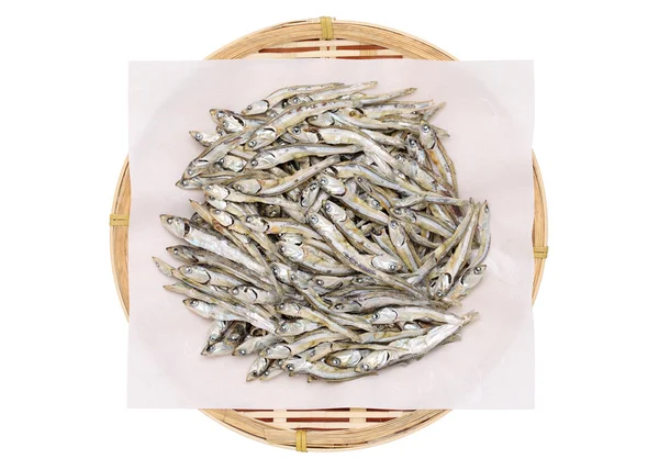 Pequenos peixes secos — Fotografia de Stock