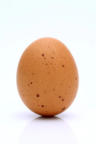 棕色蛋 — 图库照片