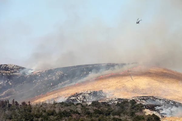 Bush yangın Mountain — Stok fotoğraf
