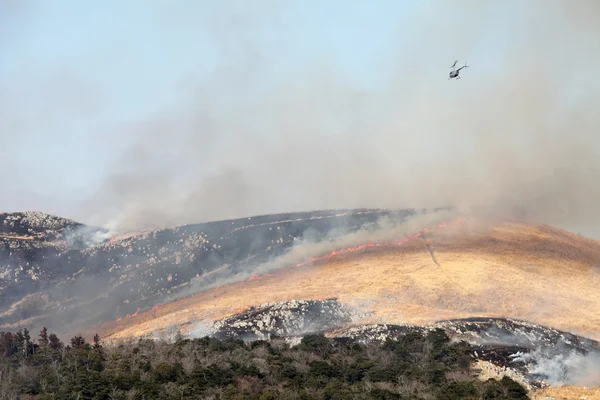 Fuego de Bush en la montaña — Foto de Stock