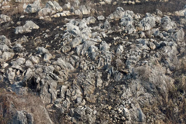 Yanmış topraklar — Stok fotoğraf