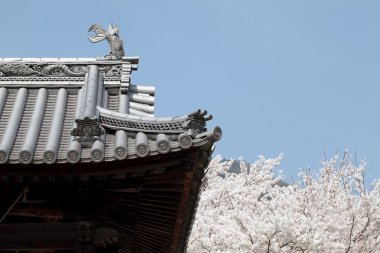 Japon Tapınağı çatı