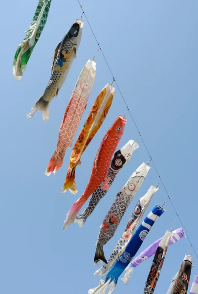 Ιαπωνική κυπρίνος kite — Φωτογραφία Αρχείου