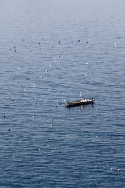 Barco de pesca y gaviotas —  Fotos de Stock