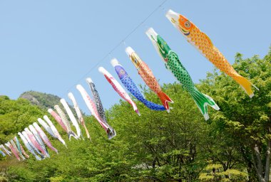 Japonca sazan şeklindeki flamalar